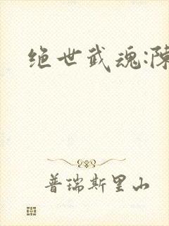 绝世武魂:陈枫封面