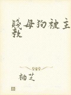 贱母狗被主人调教封面