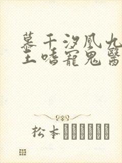 慕千汐凰九夜邪王嗜宠鬼医狂妃