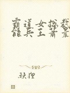 霸道女总裁的全能兵王萧晨