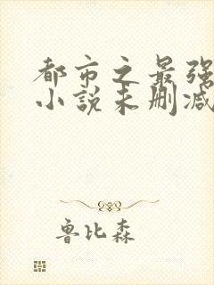 都市之最强狂兵小说未删减版