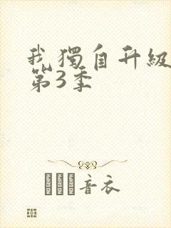 我独自升级动漫第3季