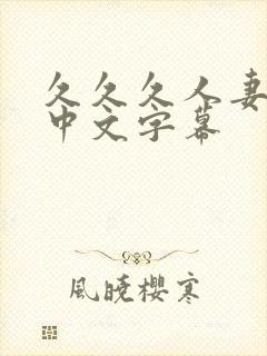 久久久人妻精品中文字幕