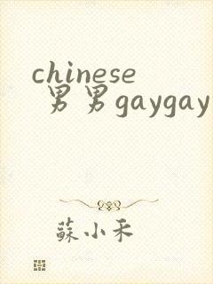 chinese 男男gaygay 网站