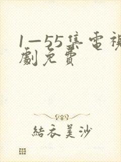 1—55集电视剧免费