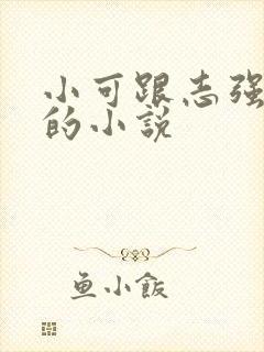 小可跟志强阿梅的小说