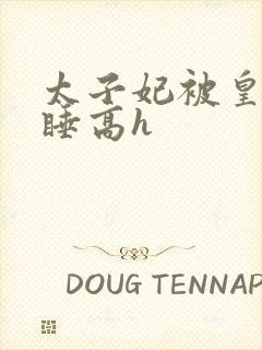 太子妃被皇上强睡高h