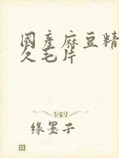 国产麻豆精品久久毛片