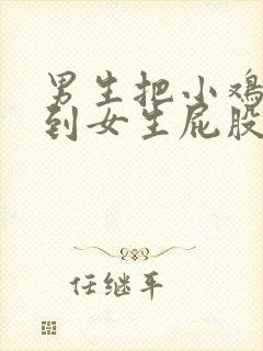 男生把小鸡鸡插到女生屁股里视频