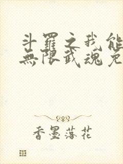 斗罗之我能抽取无限武魂免费阅读