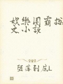 娱乐圈霸总甜宠文小说