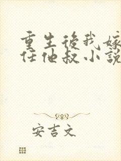 重生后我嫁给前任他叔小说封面