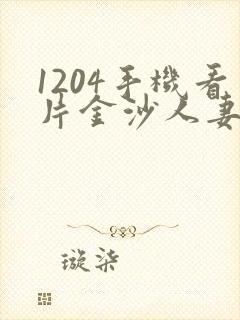 1204手机看片金沙人妻国产