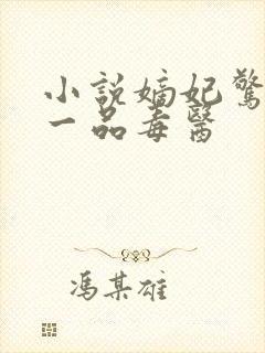 小说嫡妃惊华:一品毒医封面