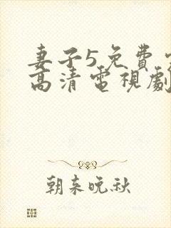 妻子5免费完整高清电视剧在线观看古