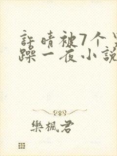 许晴被7个男人躁一夜小说封面
