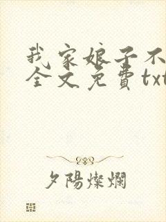我家娘子不对劲全文免费txt下载封面