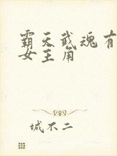 霸天武魂有几个女主角封面