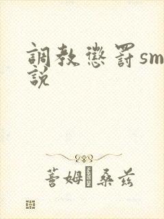 调教惩罚sm小说