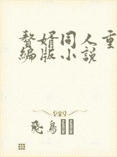 赘婿同人重口改编版小说