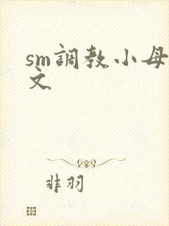 sm调教小母狗文封面