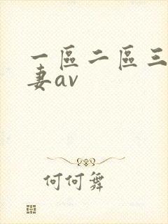 一区二区三区人妻av