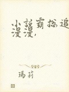 小说霸总追妻路漫漫,