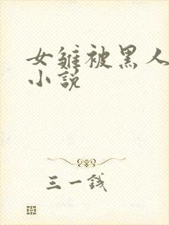 女雏被黑人破苞小说封面