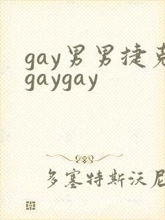 gay男男捷克gaygay