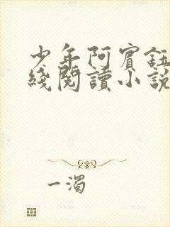 少年阿宾钰慧在线阅读小说txt