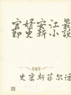 官婿安江最新章节更新小说