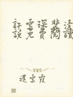 许云琛裴清欢小说免费阅读无弹窗