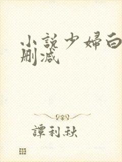小说少妇白洁无删减封面