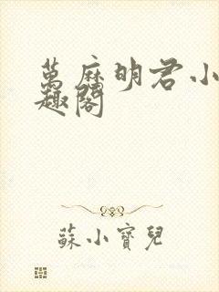 万历明君小说笔趣阁