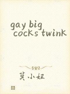 gay big cocks twink king