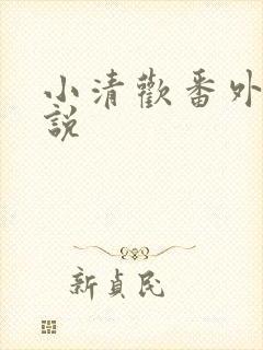 小清欢番外篇小说