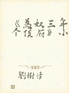 《为奴三年后整个侯府》小说封面