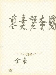 前妻超大牌小说全文免费阅读txt完结版