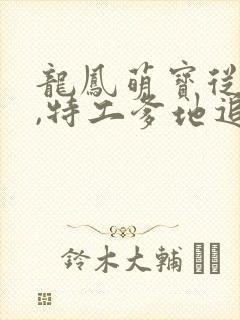 龙凤萌宝从天降,特工爹地追着宠