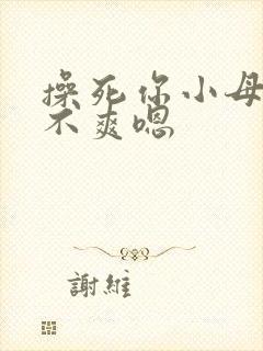 操死你小母狗爽不爽嗯