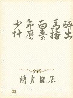 少年白马醉春风什么台播出封面