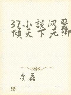 37小说网医妃倾天下元卿凌