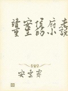 靖安侯府老夫人重生的小说