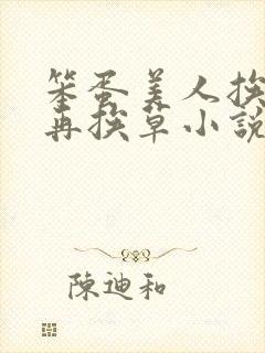 笨蛋美人挨完打再挨草小说封面