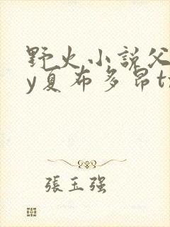 野火小说父女by夏布多昂txt封面