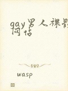 gay男人裸体网站