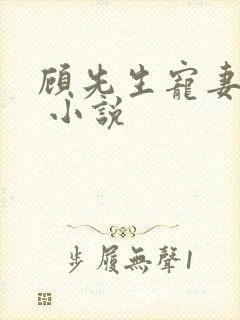 顾先生宠妻有度 小说