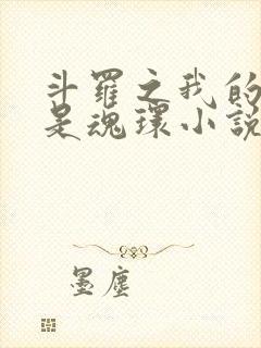 斗罗之我的武魂是魂环小说
