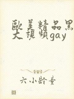 欧美精品黑人粗大视频gay