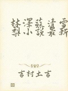 林泽苏清雪沈甜梨小说最新章节